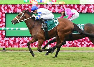 Kolding (NZ) claiming the G2 Queensland Guineas on Saturday at Eagle Farm